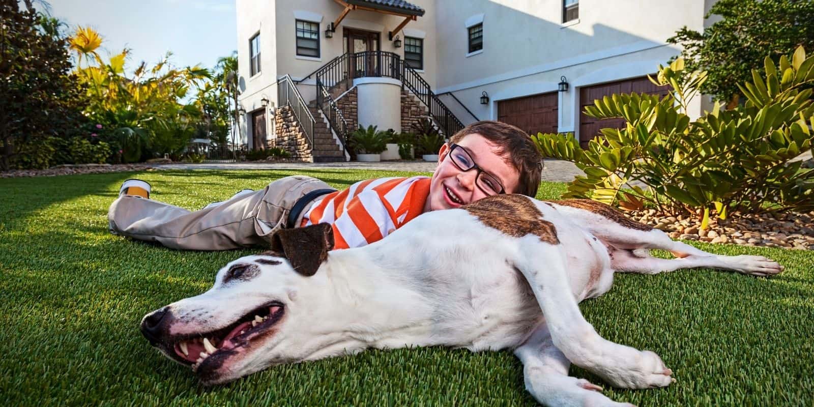Best Artificial Grass for Dogs: A Complete Buyer’s Guide Best turf for dogs
