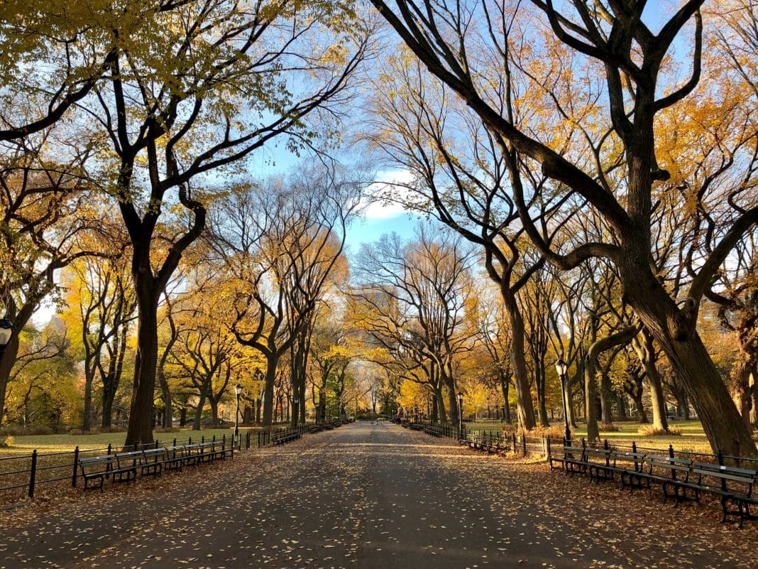Best places to travel to in november