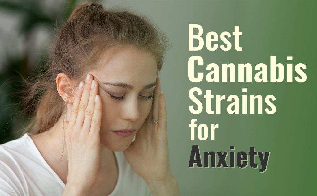 Best Cannabis Strains for Anxiety Relief