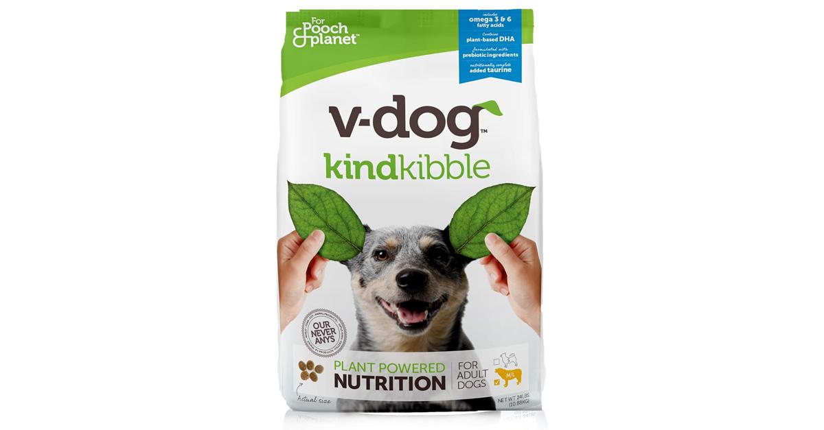 Best Dog Food for Dog with Allergies Summary Guide