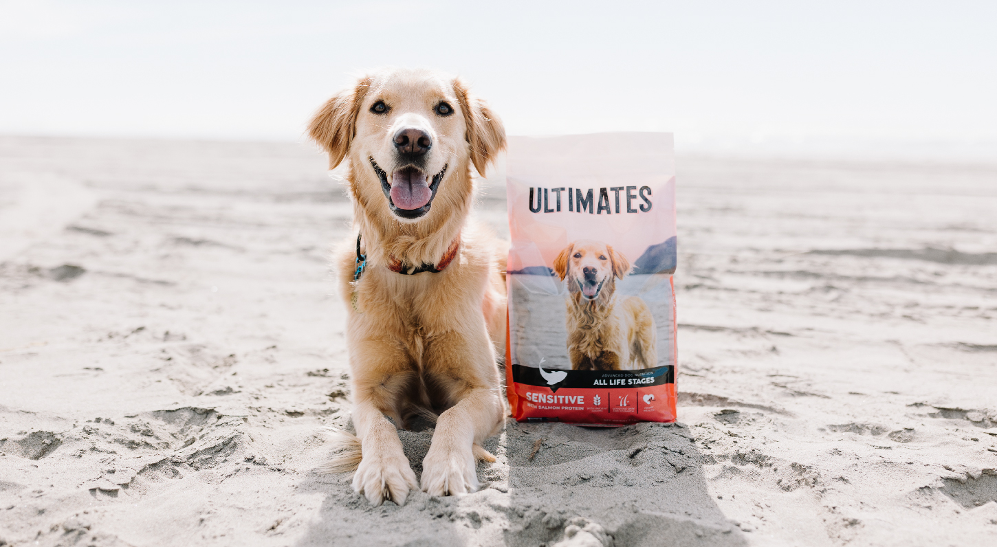 Best dog food for sensitive tummy Finding the right nutrition