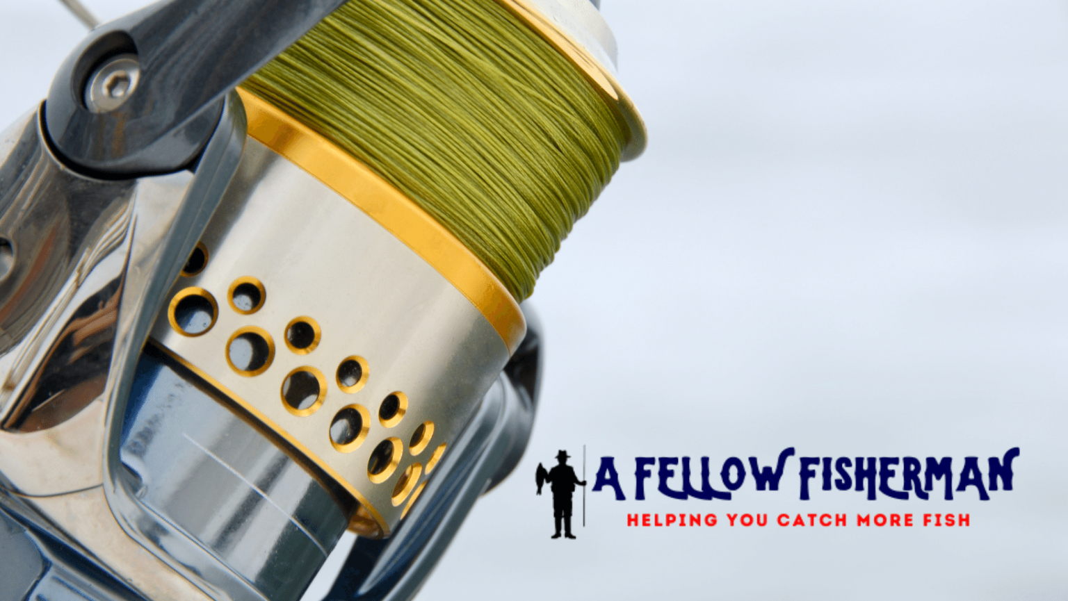 Best Fishing Line for Spinning Reels 
	Choosing the Right Lines for Optimal Fishing Experience