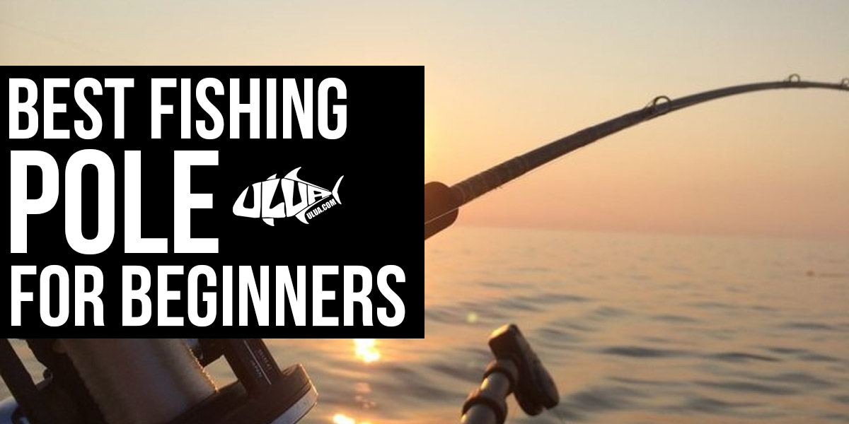 Best Freshwater Fishing Pole Selection Criteria