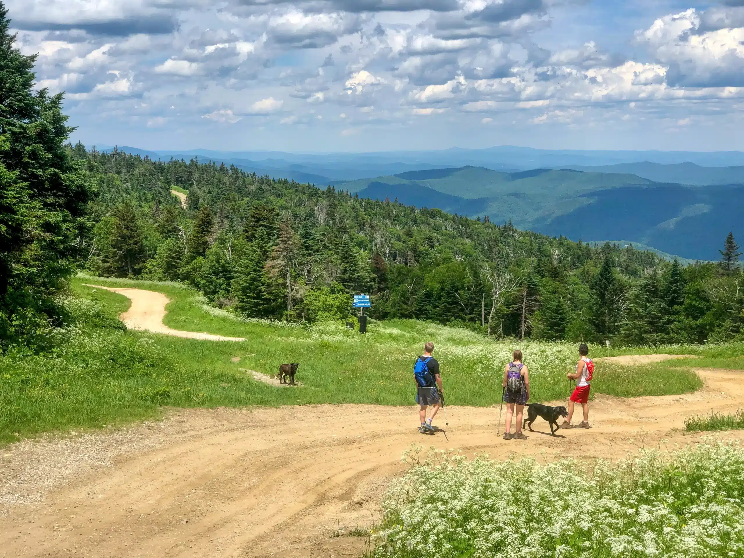 Best Hikes in Vermont for Everyone