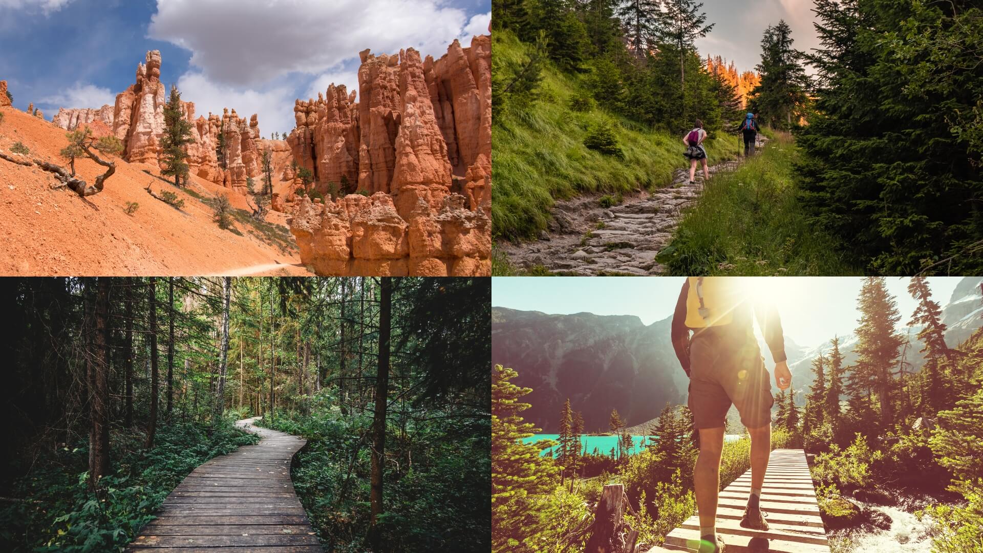 Best Hiking Trails in America
		a comprehensive guide to exploring unique geographical features and ecosystems across the United States