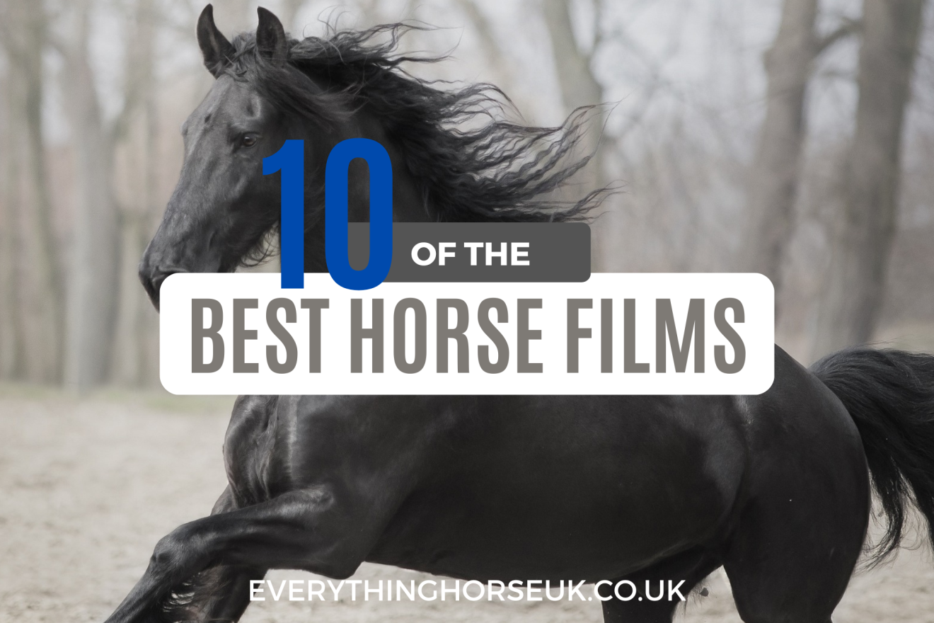 An Overview of the Best Films About Horses