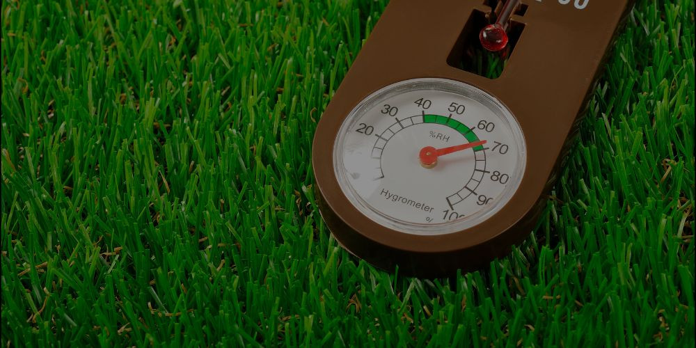 Best Humidity for Cigars and Optimal Storage