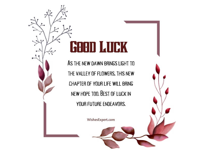Best Luck for Your Future Endeavours Wishes for Success