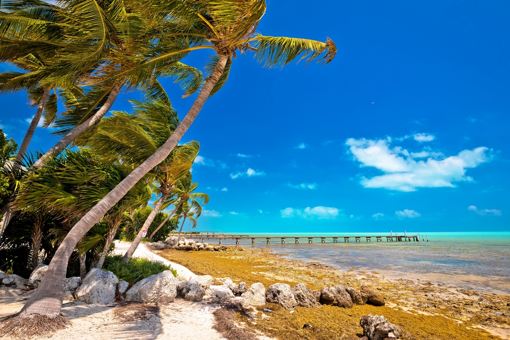 12 Best Small Towns in Florida You Must Visit! - Follow Me Away Best small towns in florida