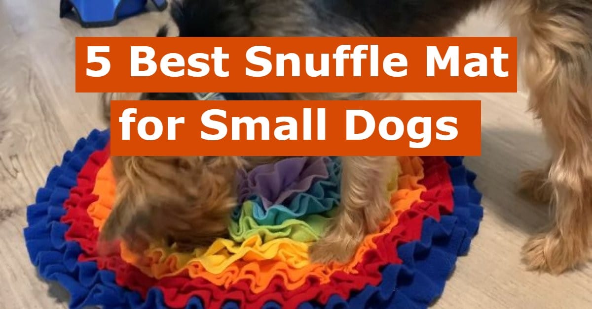 Best snuffle mat for dogs