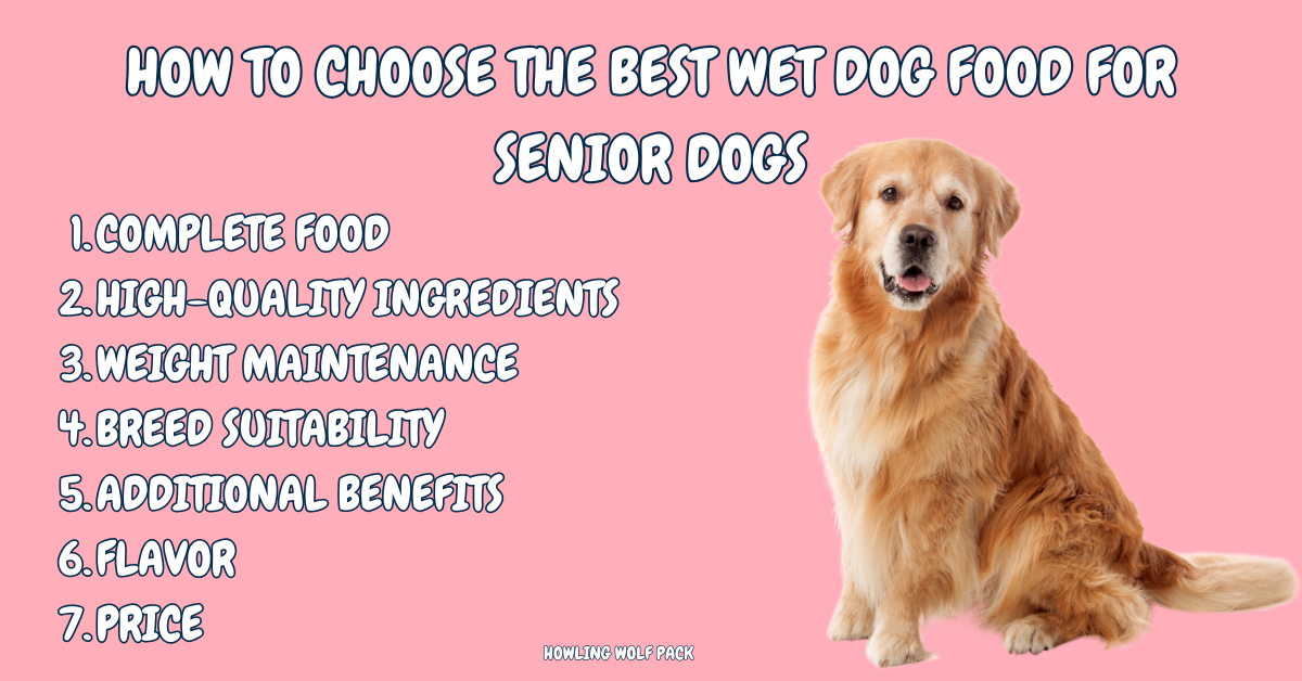Senior Wet Dog Food | Wet Food for Older Dogs | Forthglade