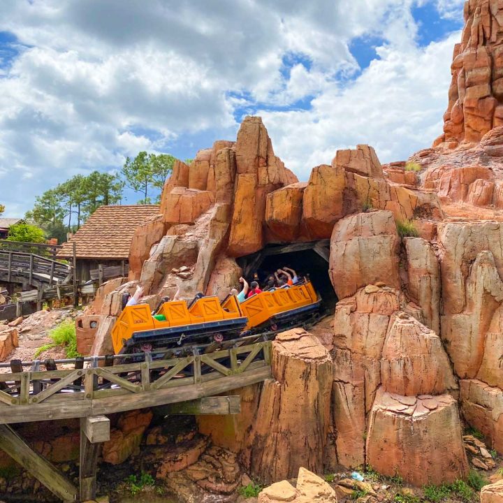 Best Rides at Magic Kingdom You Don't Want to Miss - Don't Just Fly