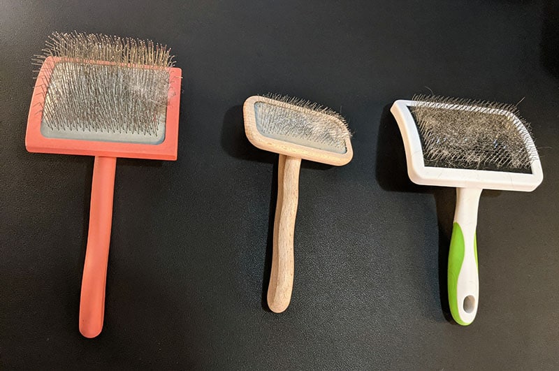 Best Brush for Poodles