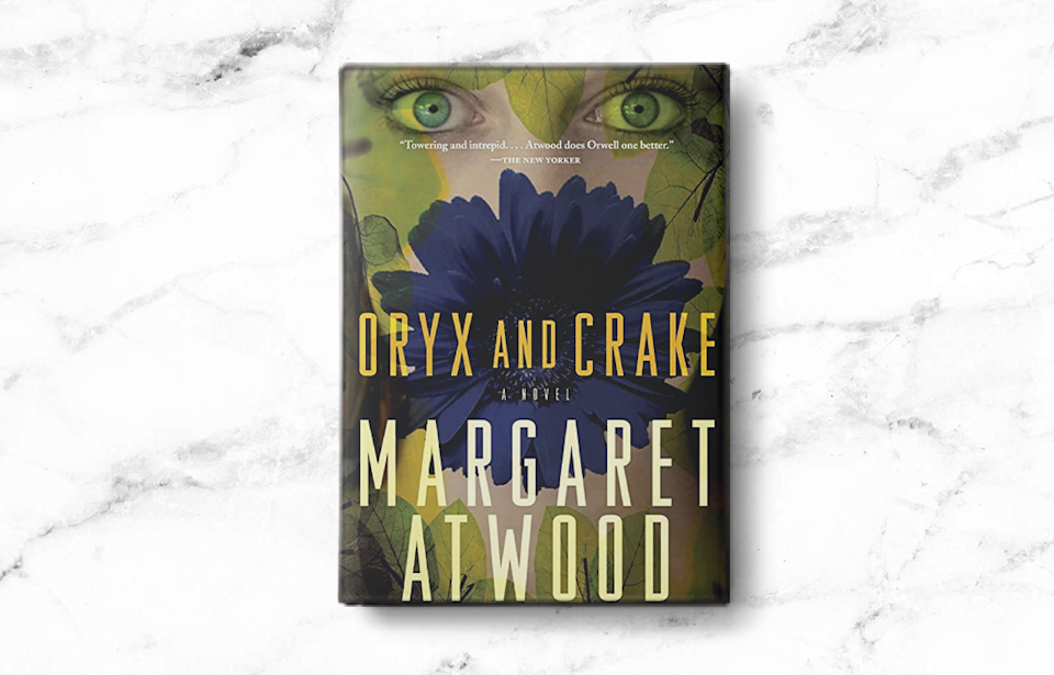 Best Novel Series for Adults A Collection of the Most Memorable and Thought-Provoking Novels.