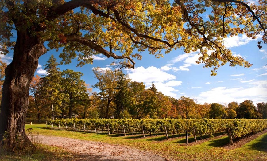 Best western sonoma valley inn