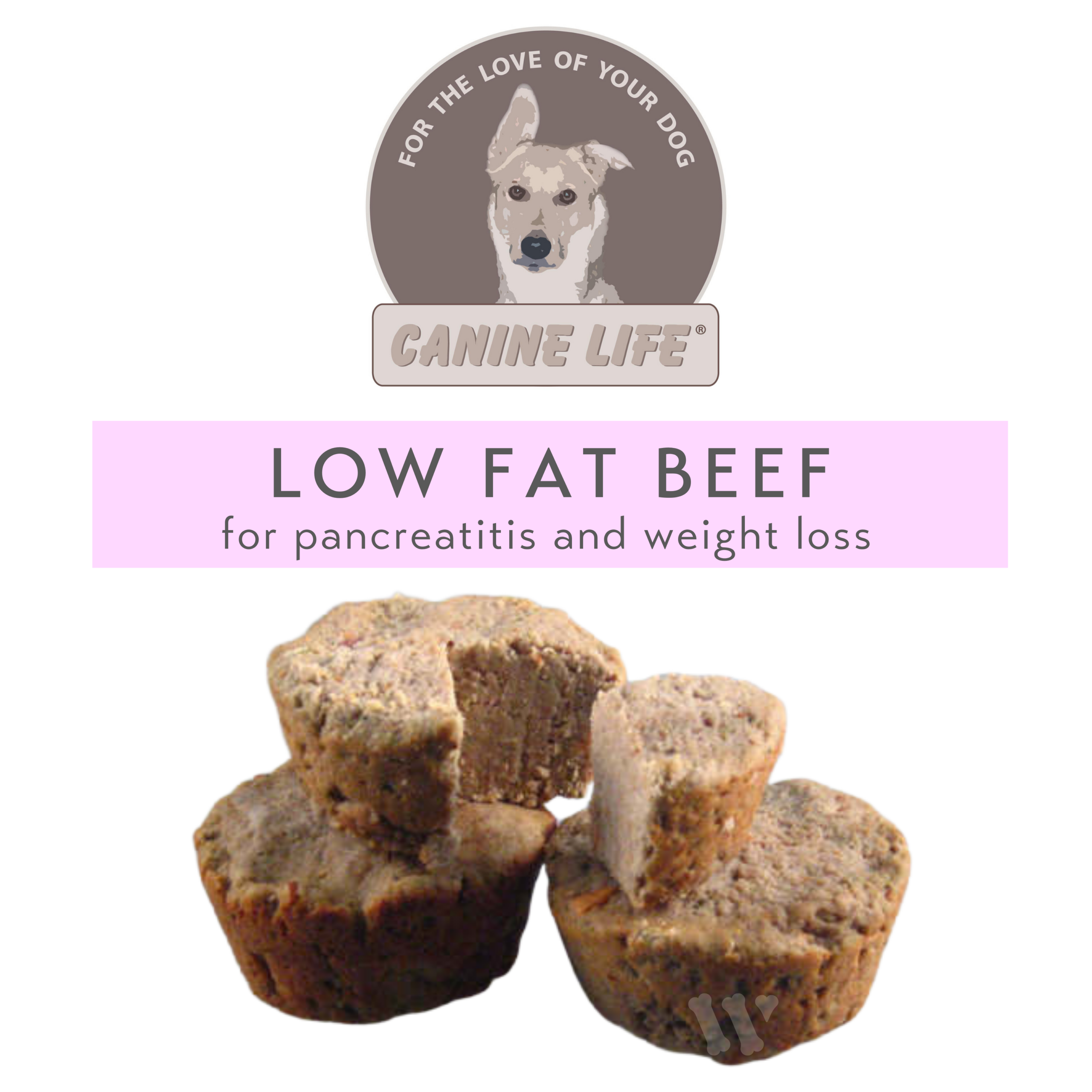 Best Dog Food For Itchy Dogs Reducing Scratching Symptoms With A Balanced Diet