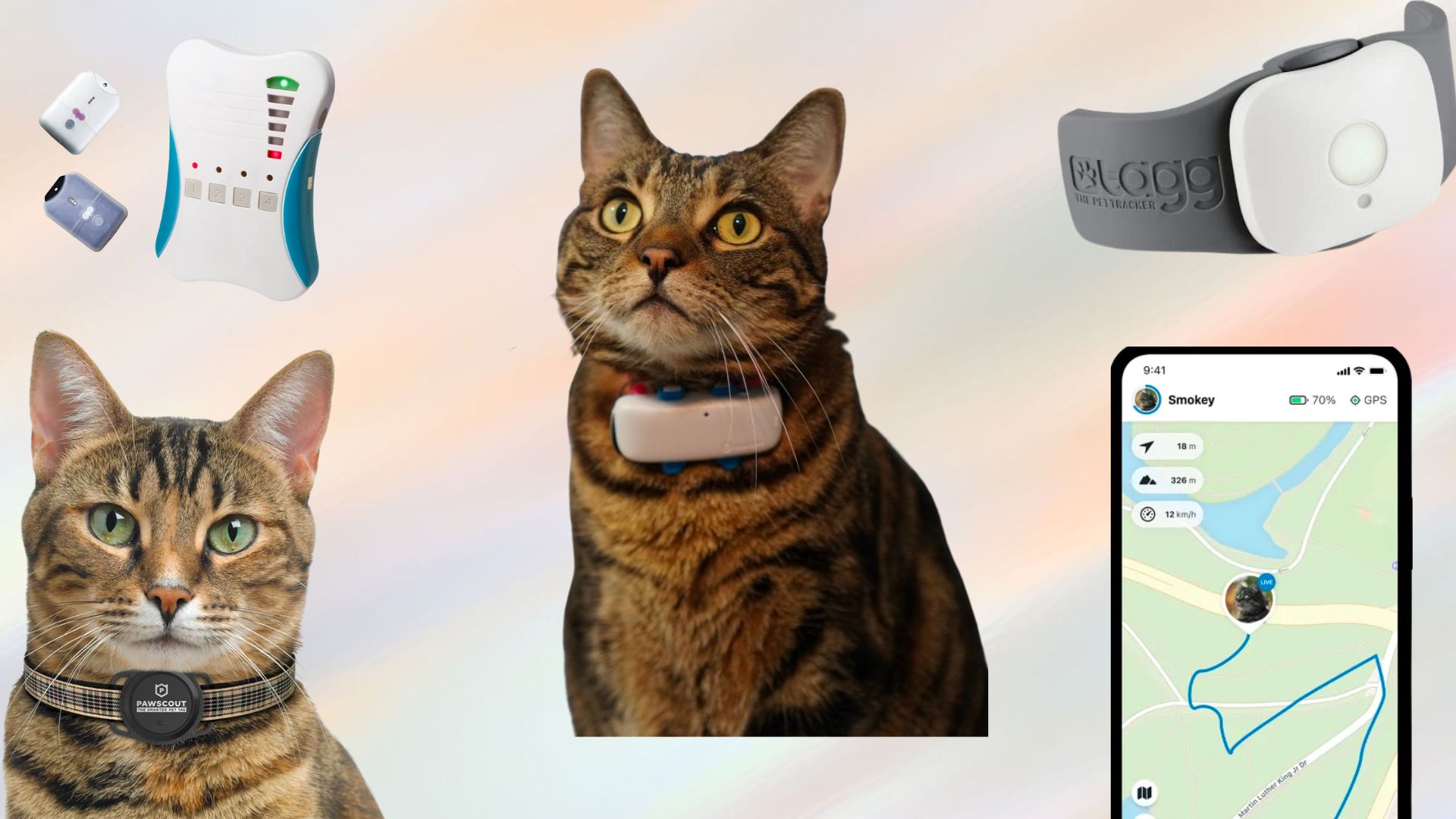 Best Cat GPS Tracker for Safe Navigation