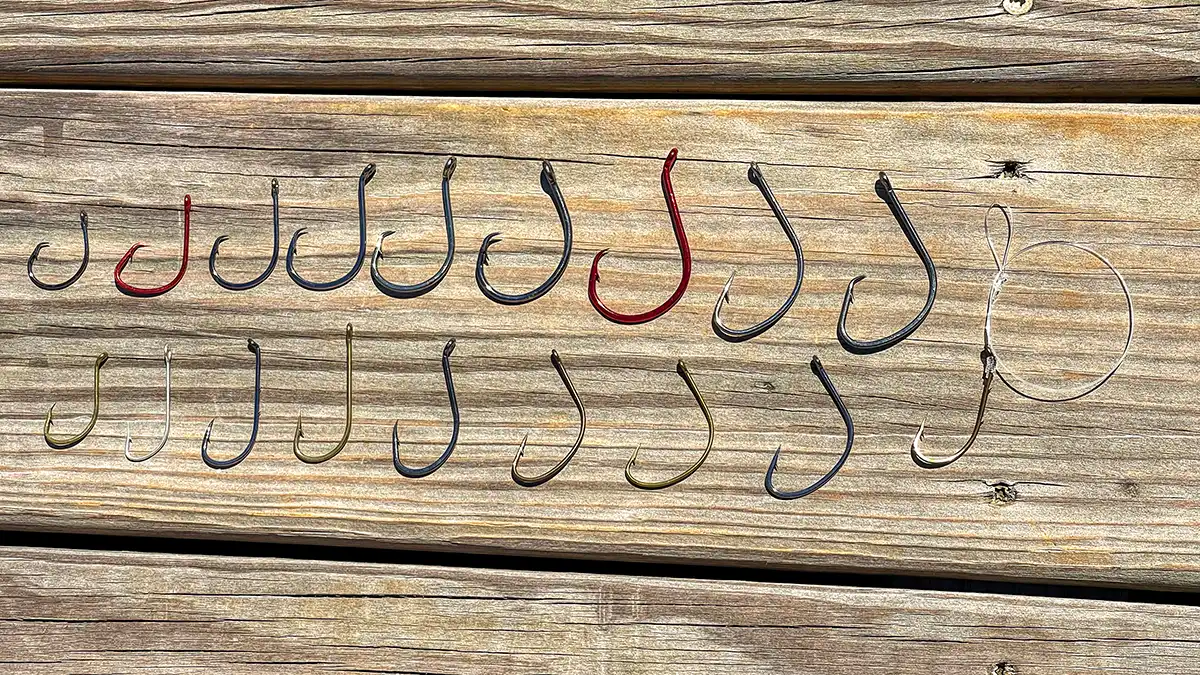 Best Hooks for Catfish Fishing Success