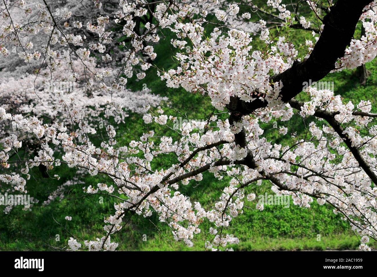 Best places to visit in spring