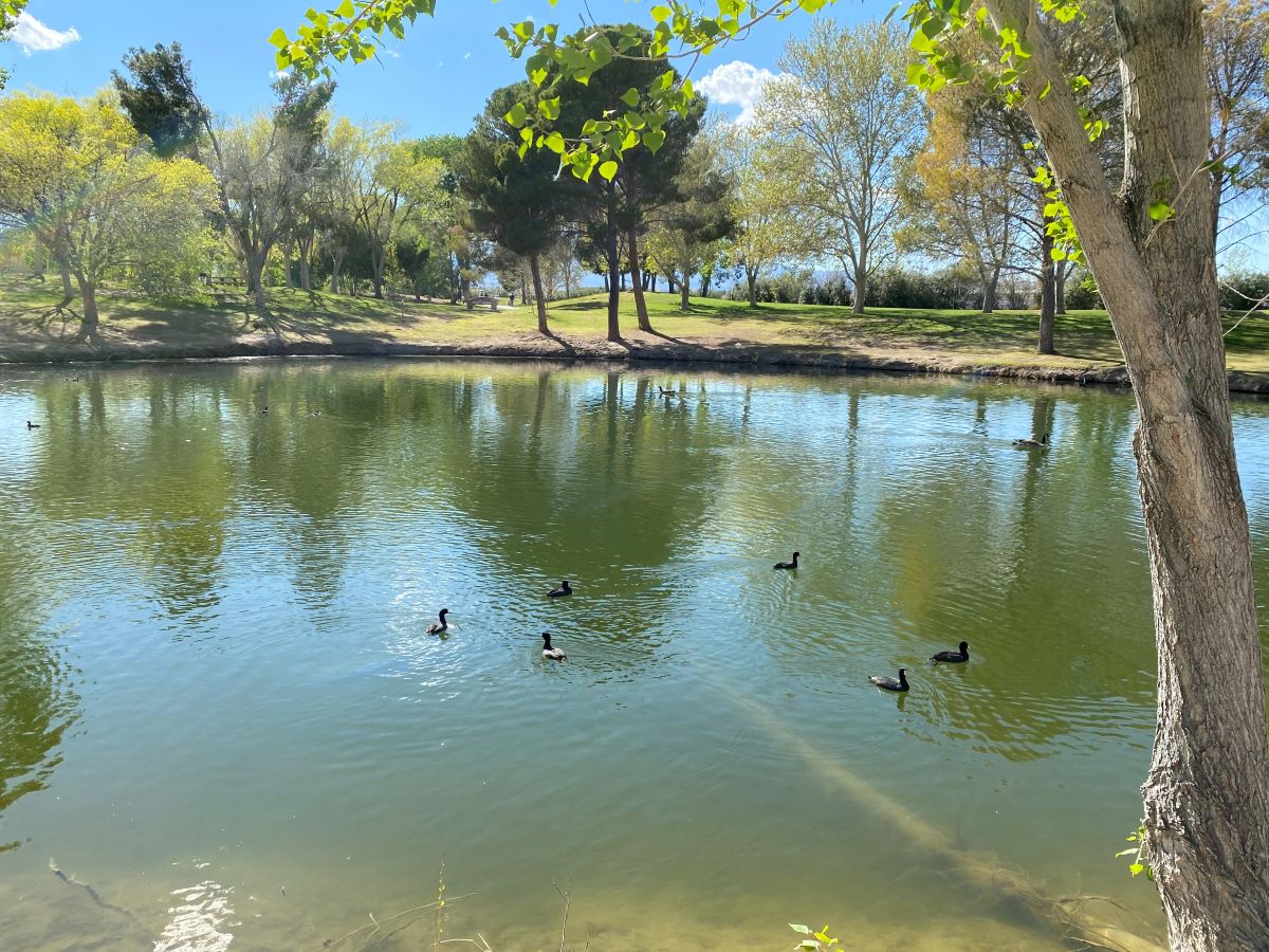 Best Parks in Las Vegas Nearby Attractions
