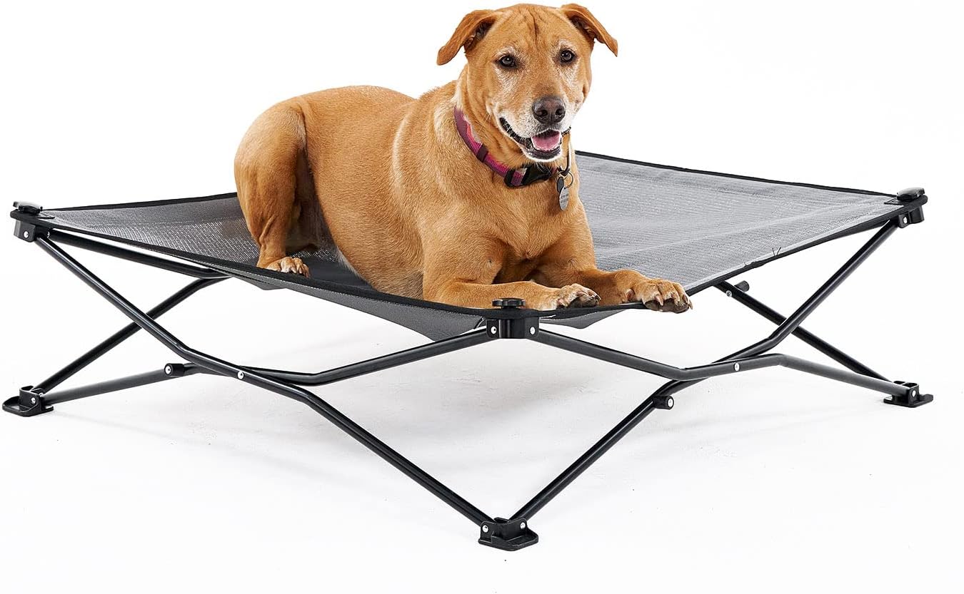 Best Elevated Dog Bed for Ultimate Comfort Best Elevated Dog Bed for Ultimate Comfort