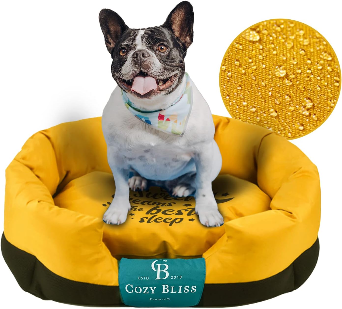 Best Chew Proof Dog Bed for Aggressive Chewers