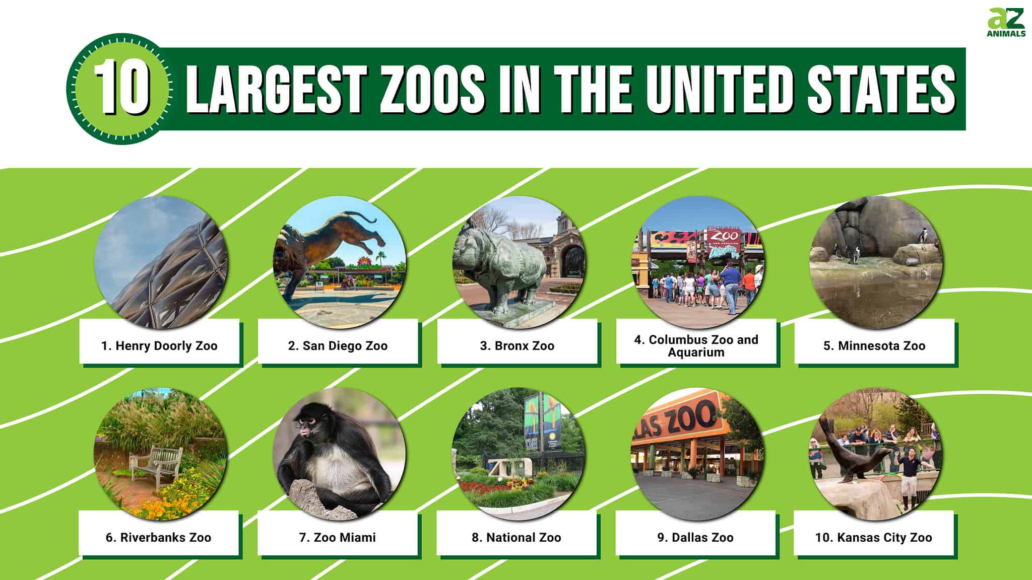 The 10 Largest Zoos in the United States in 2024 - A-Z Animals The 10 Largest Zoos in the United States in 2024 - A-Z Animals