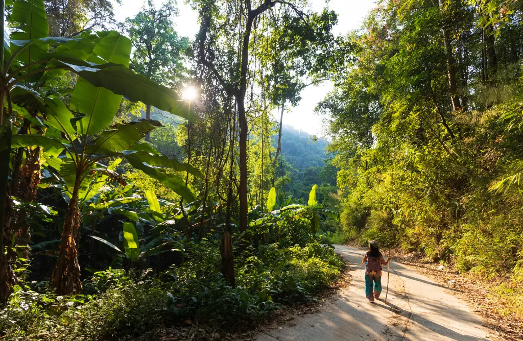 Best Time to Visit Thailand: Different seasons and weather Best time of year to go to thailand