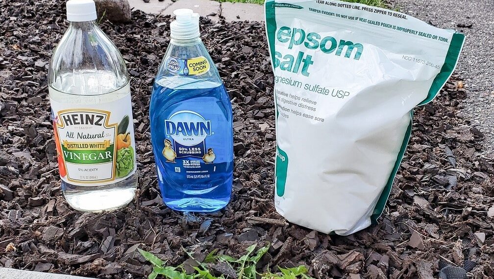 Best way to kill weeds