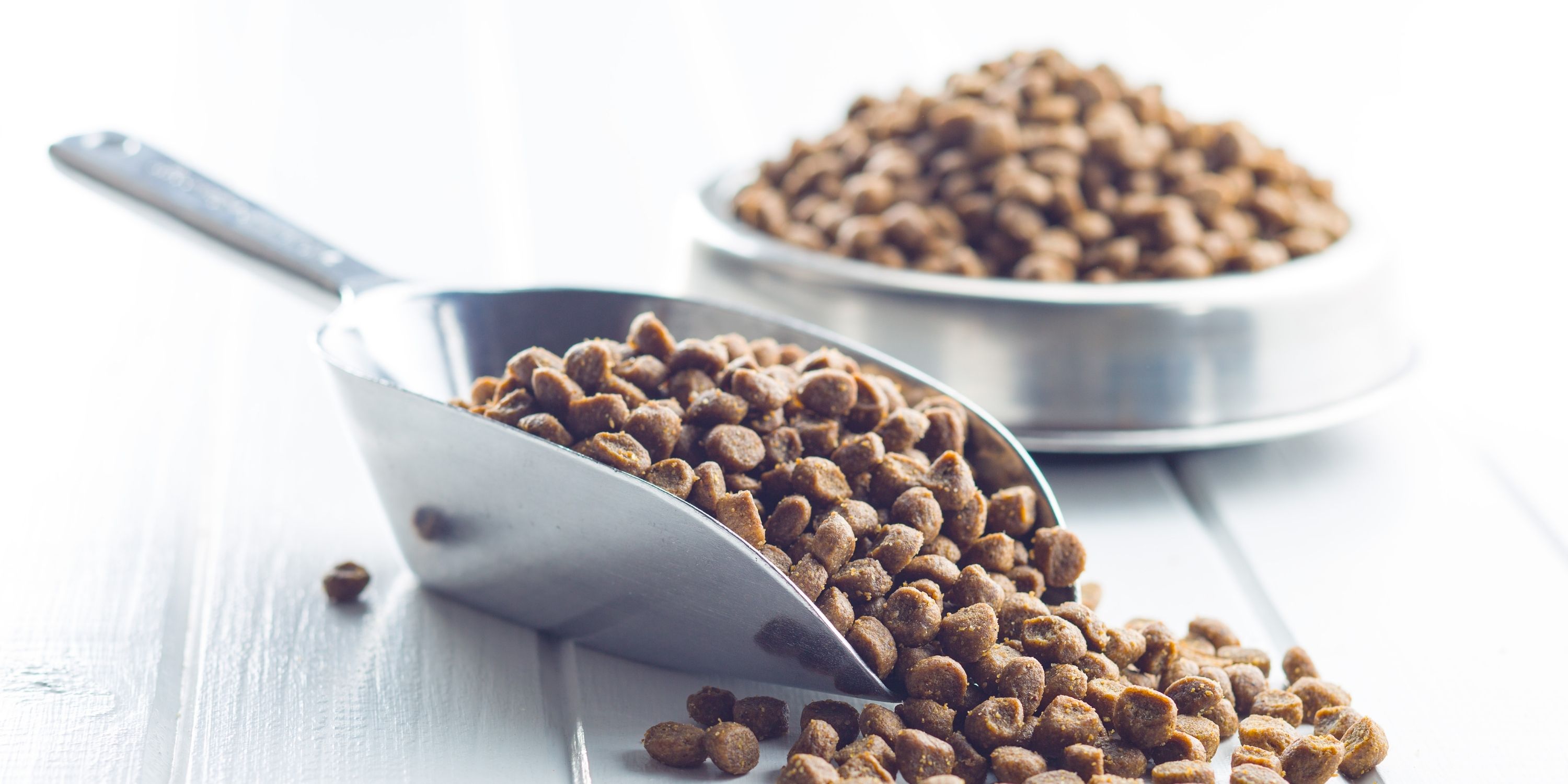 Best dog foods for sensitive stomach