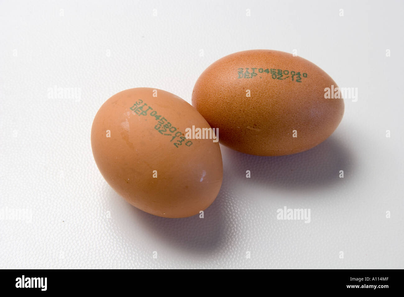 Best by Date on Eggs A Guide to Freshness and Safety Best by Date on Eggs A Guide to Freshness and Safety