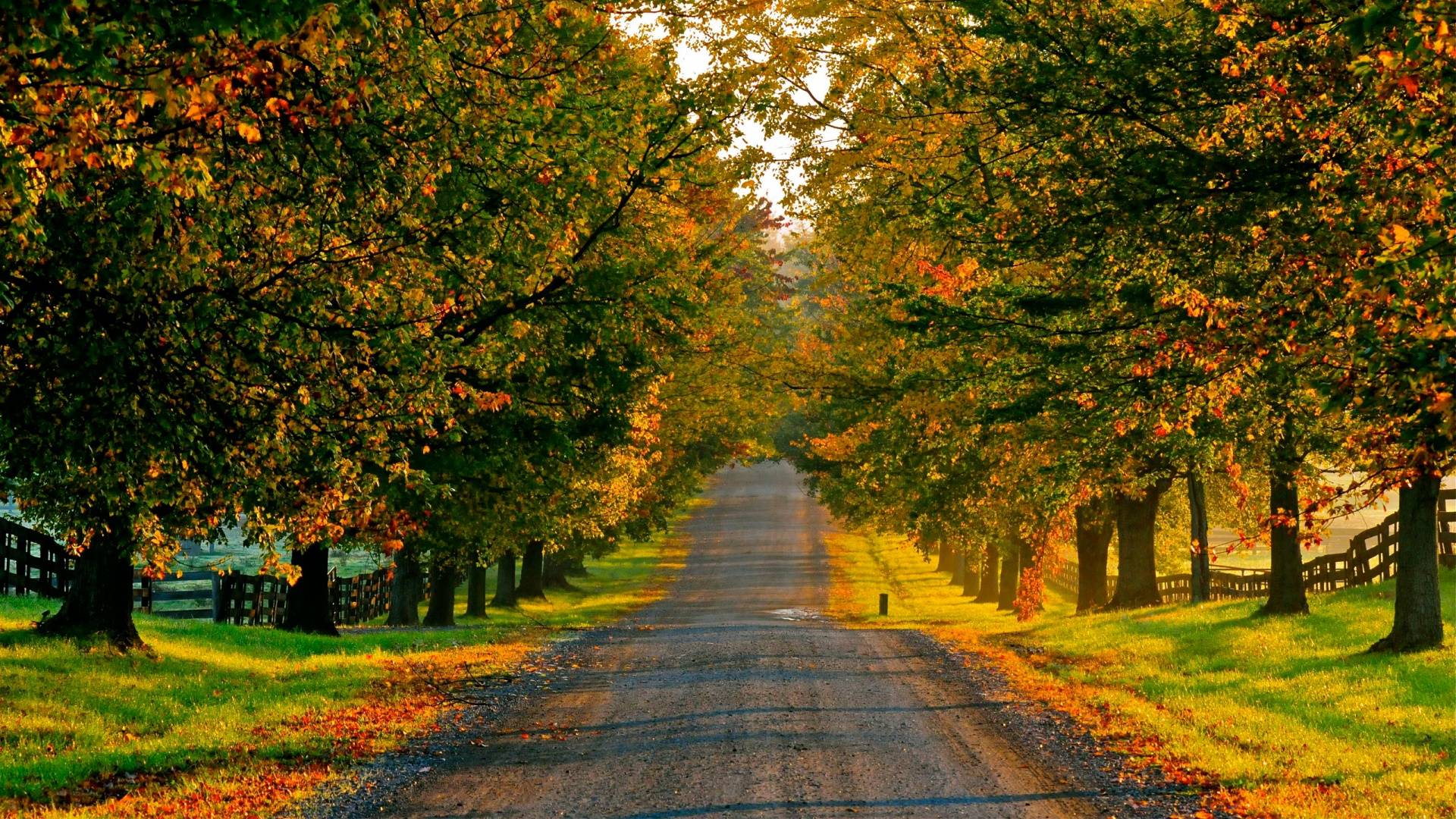 Best Countryside in the World – Stunning Scenic Beauty
