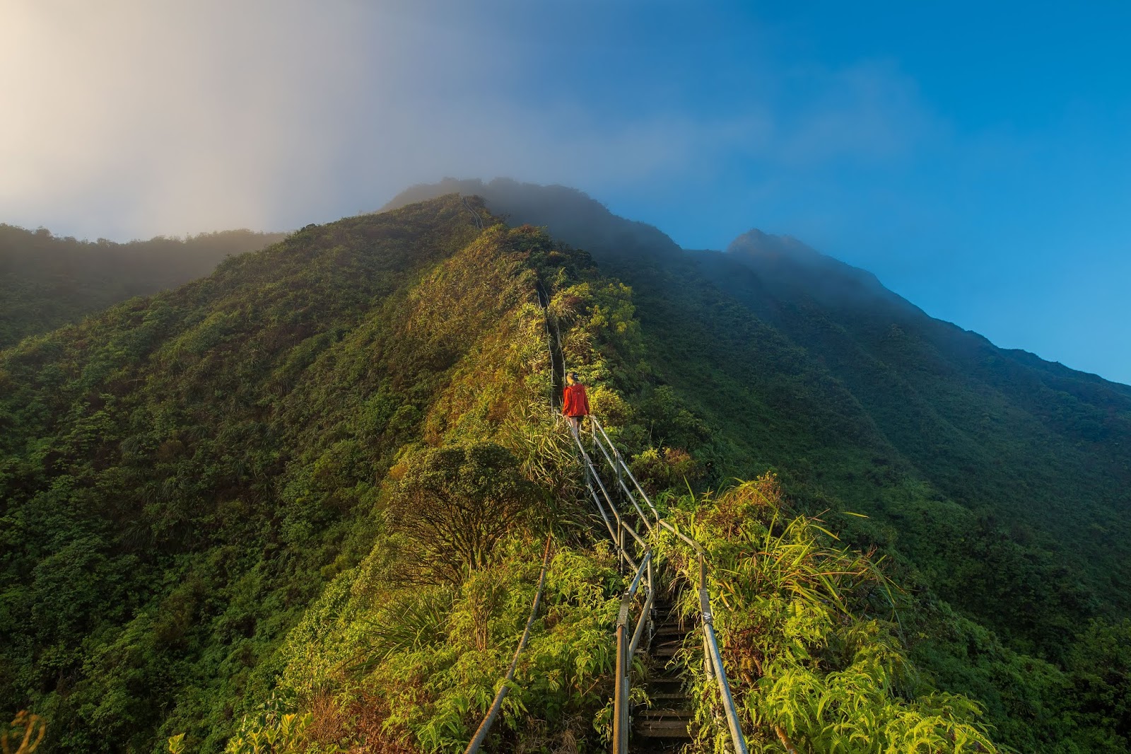Best Hawaiian Islands to Visit for Your Dream Vacation