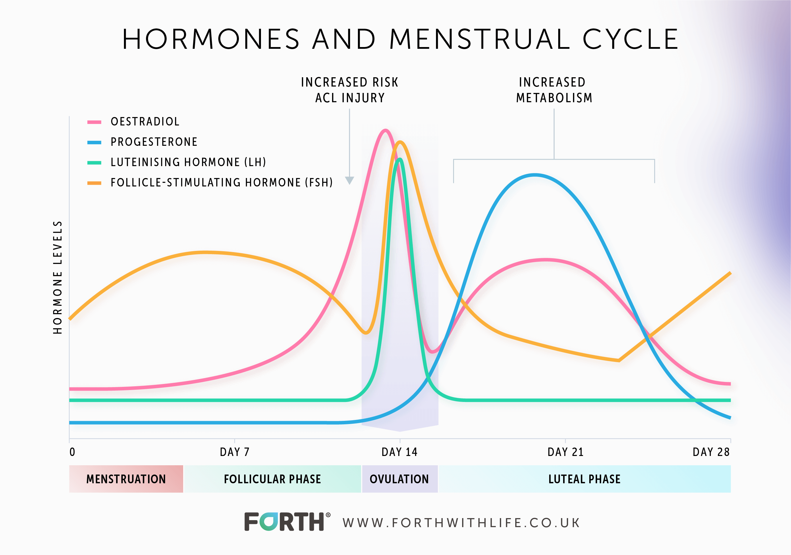 Best time of day to take estrogen and progesterone
