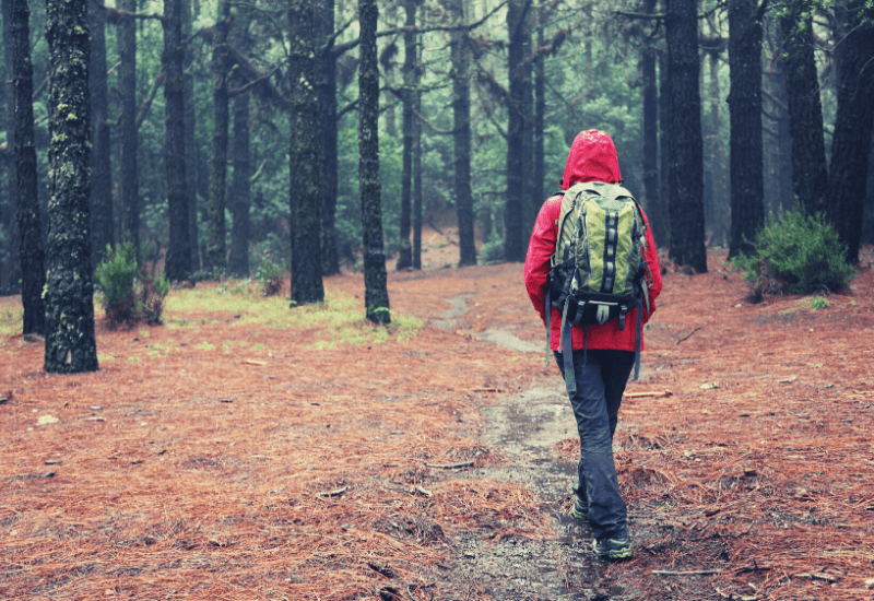 Best Hiking Rain Jacket for Optimal Performance