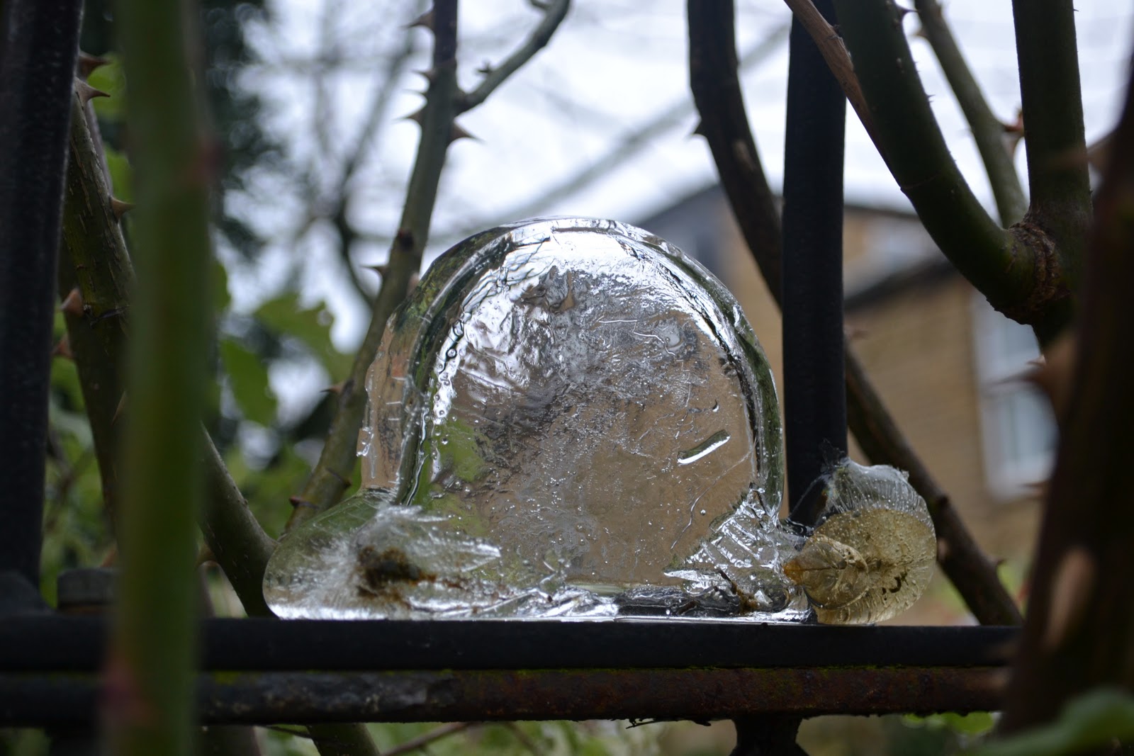 Ice Sculptures 101: Everything You Need to Know! (2020)