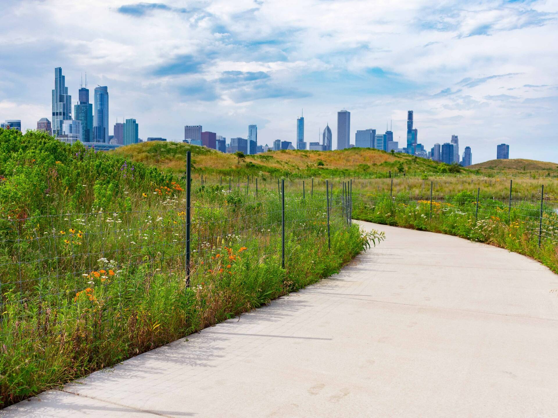 Best Parks in Chicago