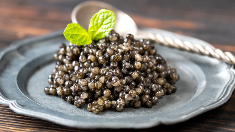 Best Caviar for Beginners