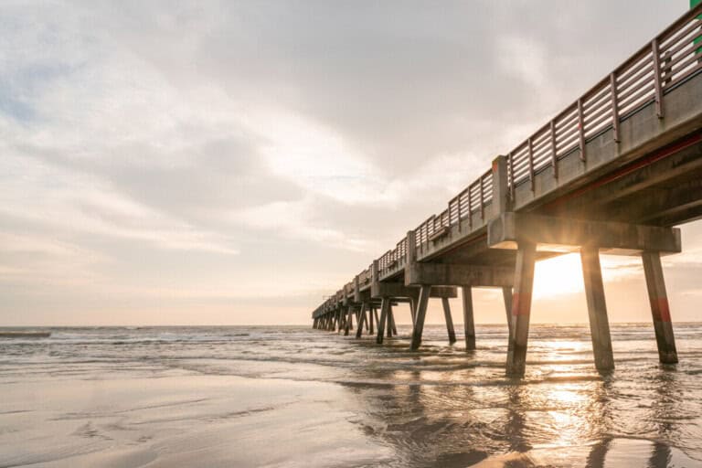 Jacksonville Neighborhood Guide: Where to Live in 2025 | Redfin Best places to live in jacksonville fl