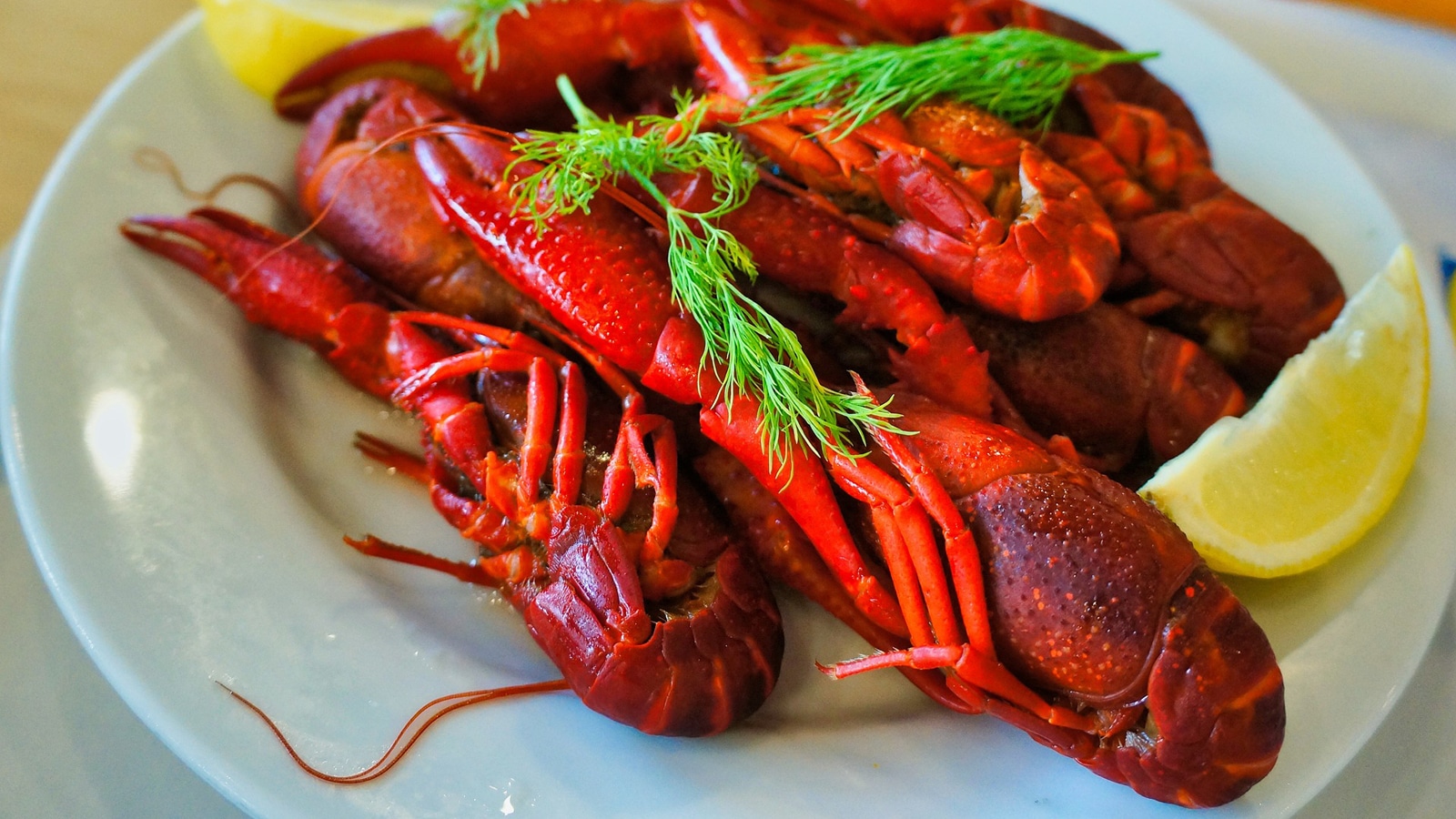 Best Seafood Key West - 9 Places That Seafood Lovers Must Try