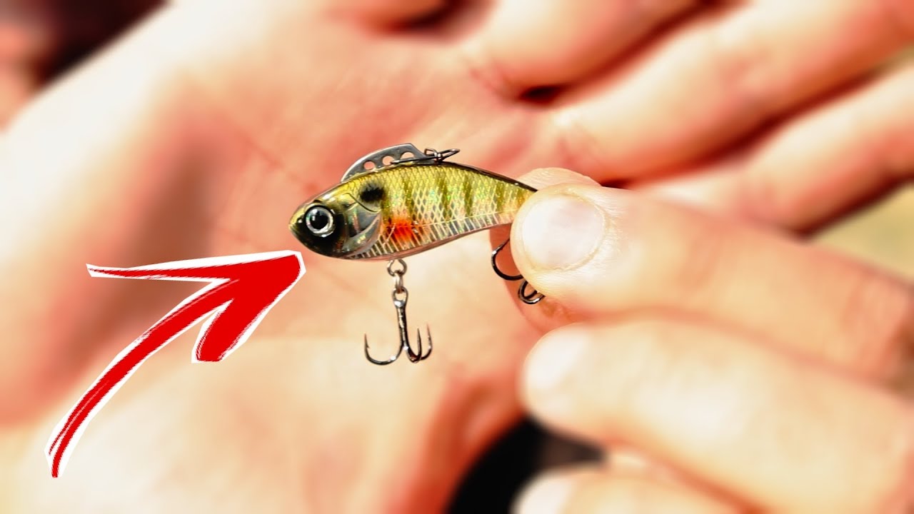 Best Lure for Crappie Basics