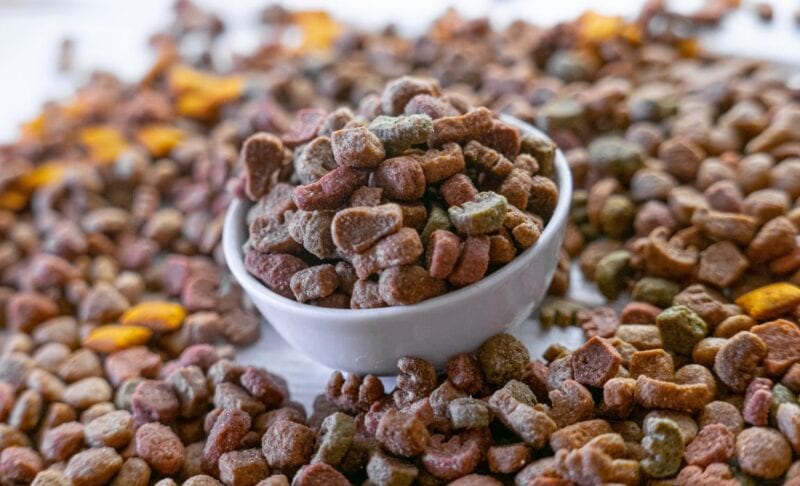 Best Dog Food for Rottweilers Essential Nutrients for Optimal Health