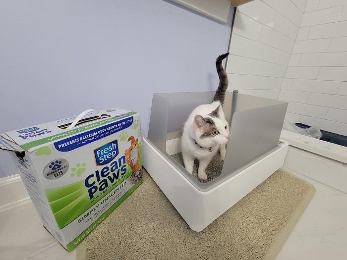 Best Non Tracking Litter Options for a Mess Free Home