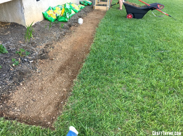 Best Dirt for Garden Choosing the Right Soil