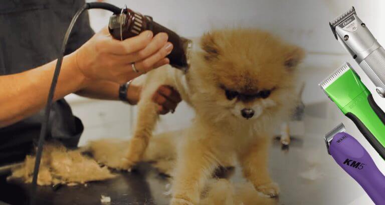 Best Dog Cutting Clippers for a Pawsome Grooming Experience