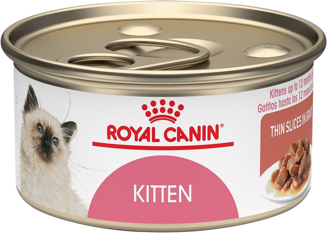 Best Kitten Food Wet Options