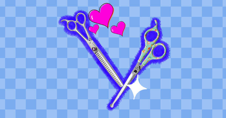Best Dog Grooming Scissors