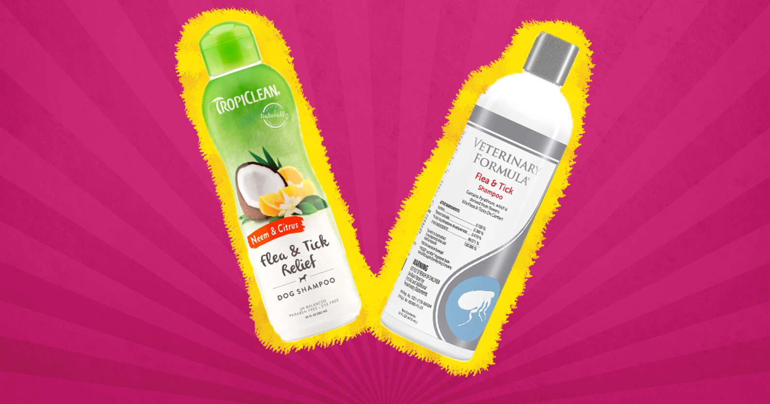 Best Dog Flea Shampoo Options