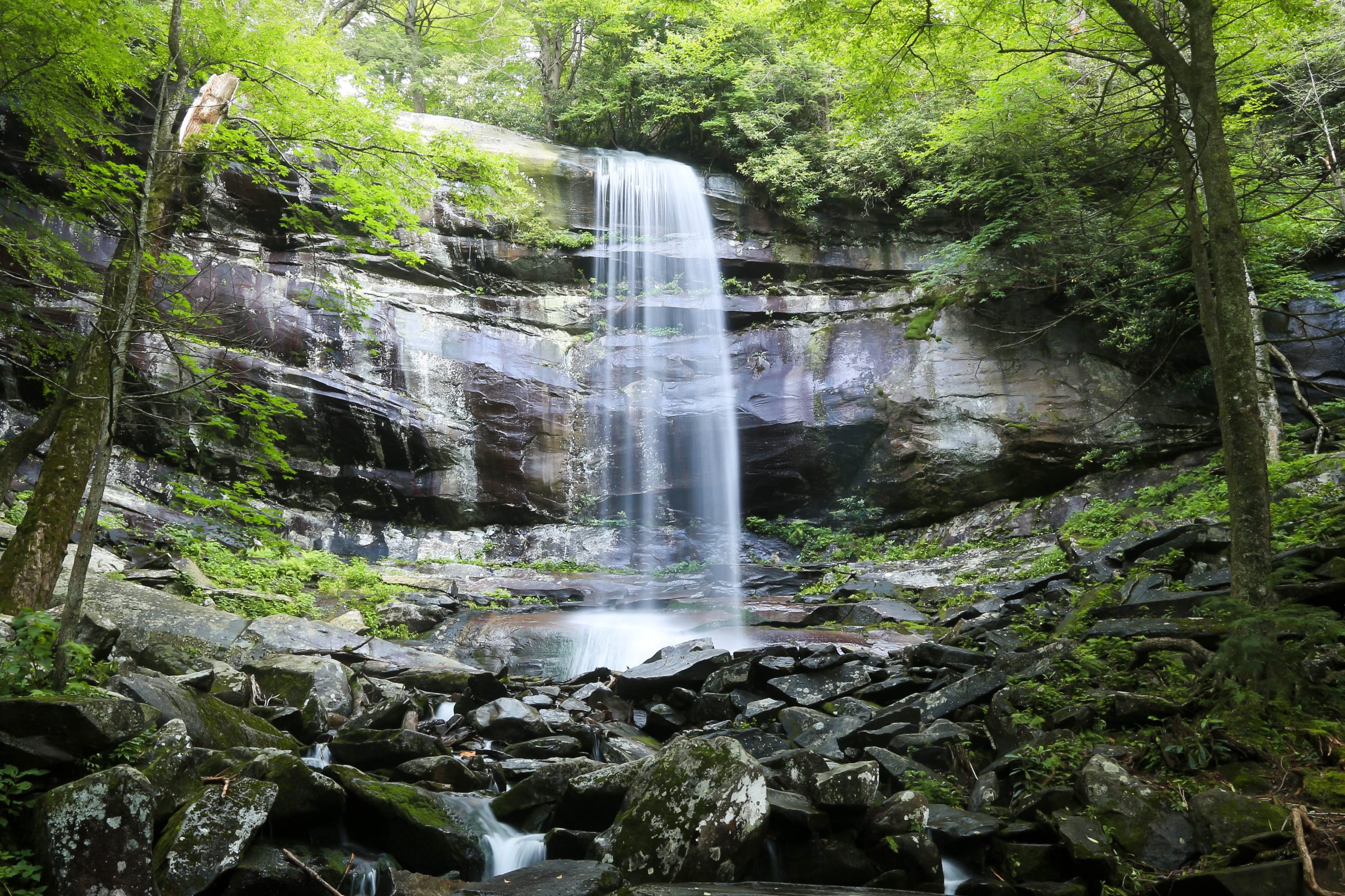 Best Hiking in the Smoky Mountains – Explore the Best Trails and Discover Hidden Gems