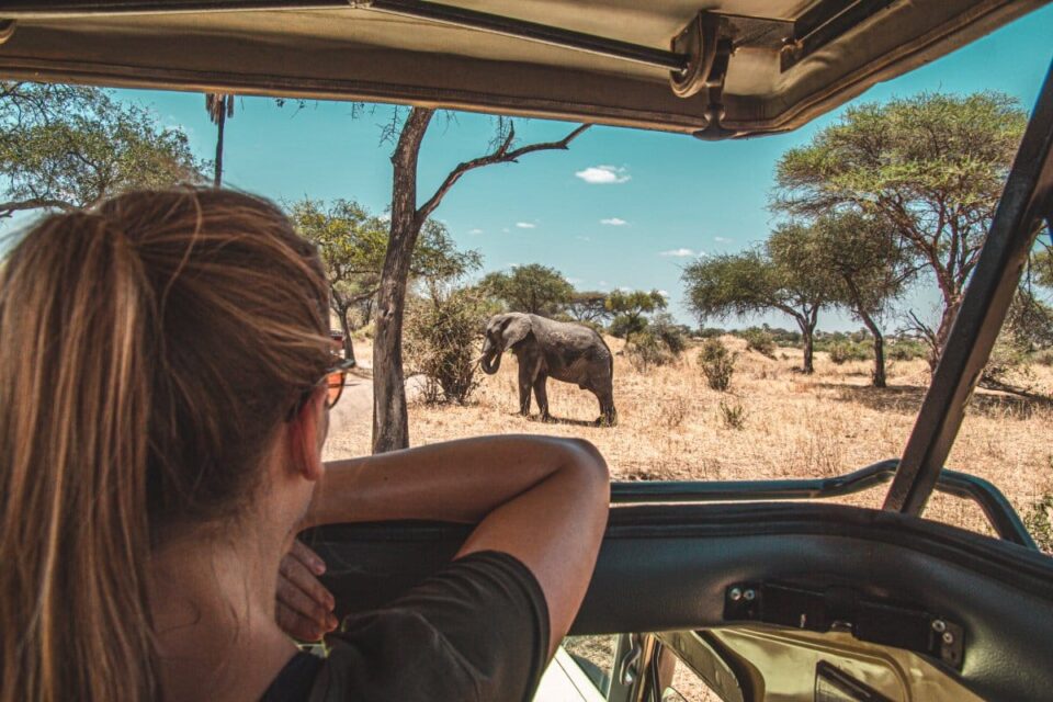 Best places to see wildlife